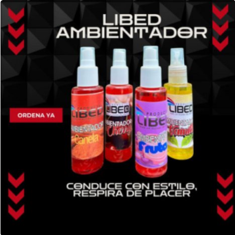Ambientador de vehículos